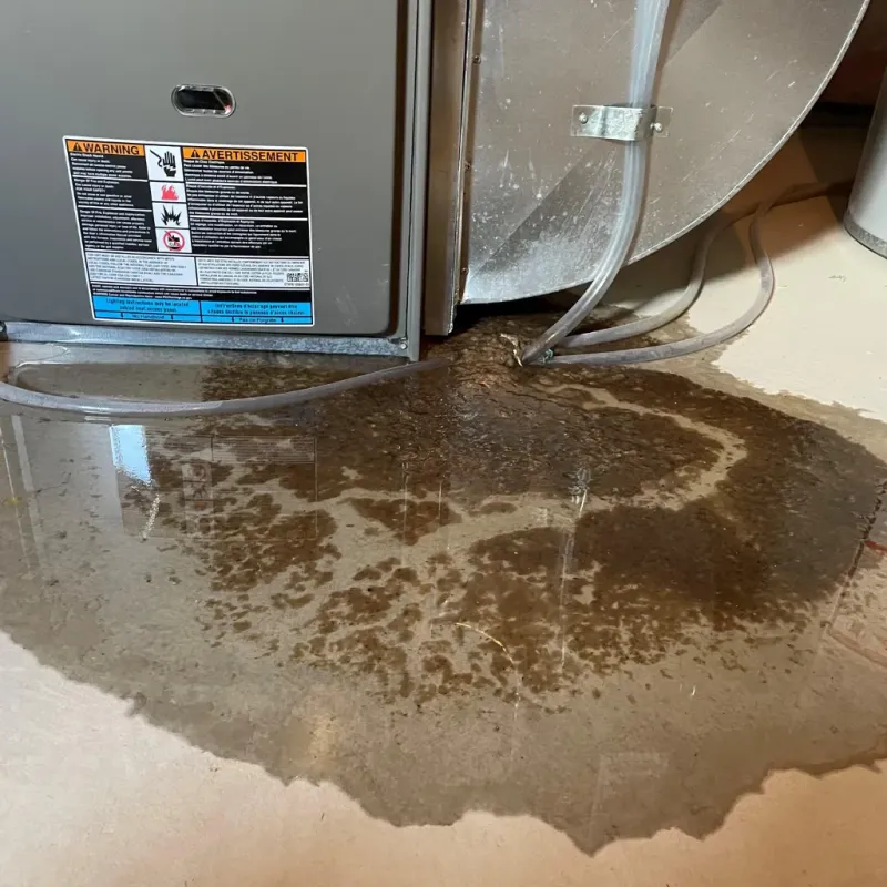 Appliance Leak Cleanup in Taylor, MI