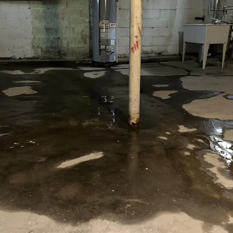 Emergency Water Extraction And Removal in Taylor, MI